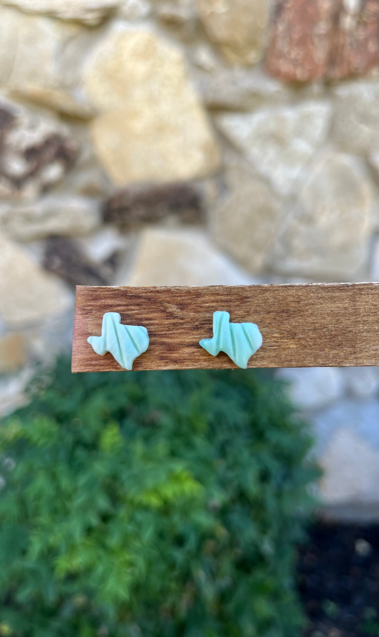 Texas Stud Earrings