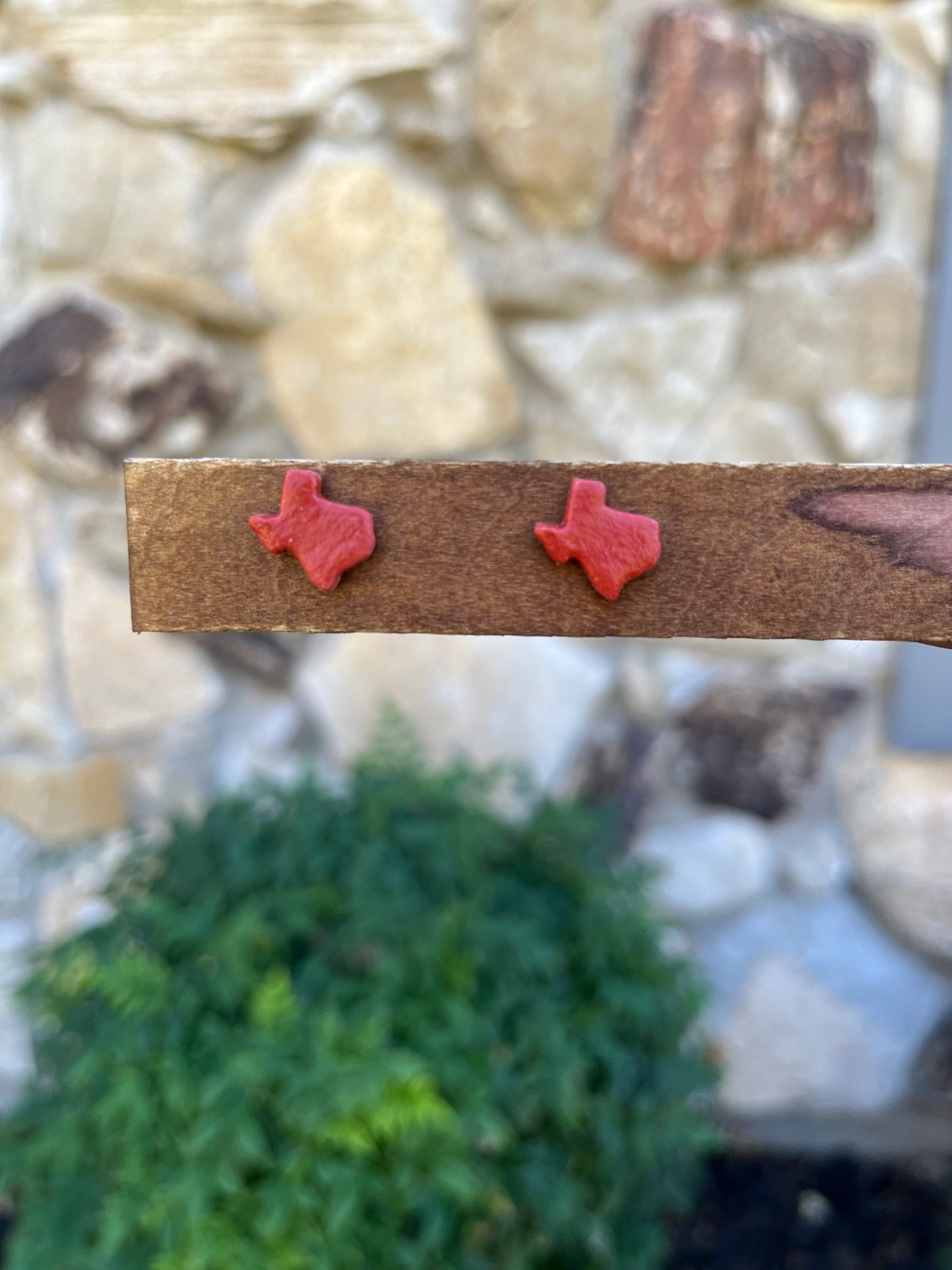 Texas Stud Earrings