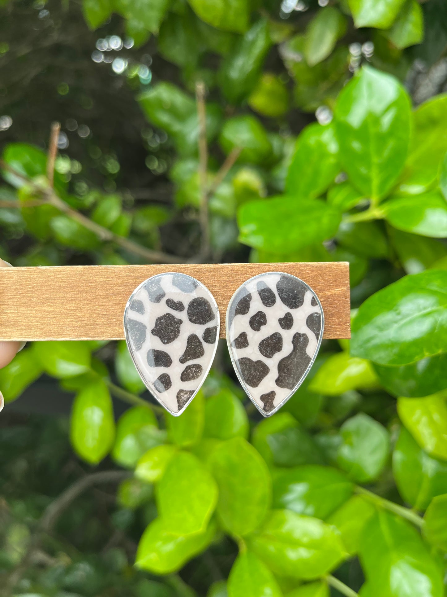 Cowprint Stud Earrings